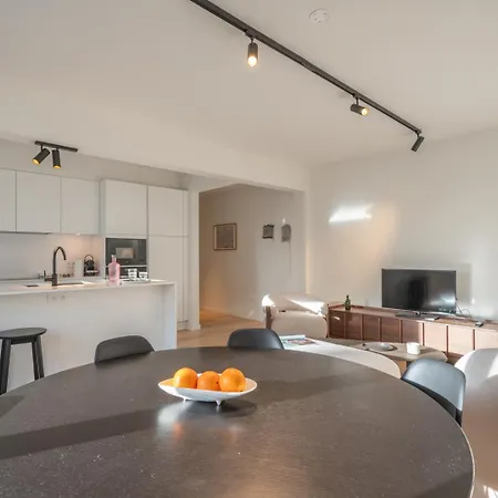 Bright Modern With Balcony 公寓 奥斯滕德