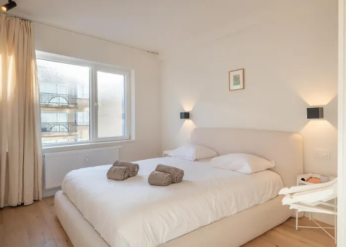 Bright Modern With Balcony 公寓 奥斯滕德